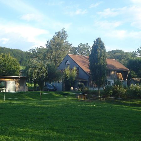 Bnb Pavillon Paisible Orsonnens 외부 사진